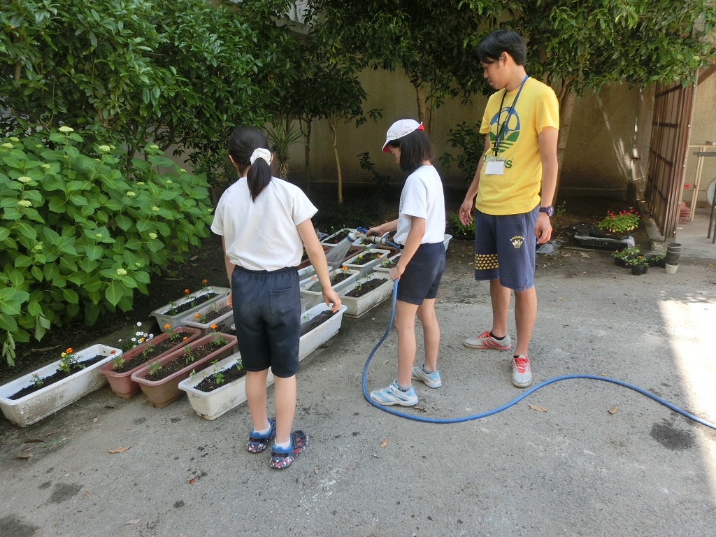 画像が表示されませんでした。