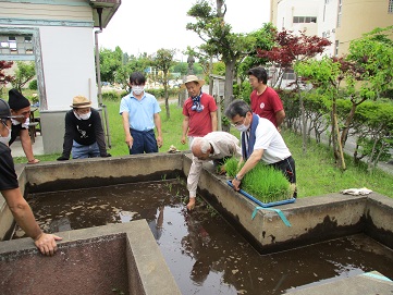 田植え