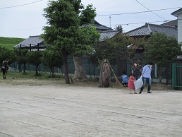 環境活動2