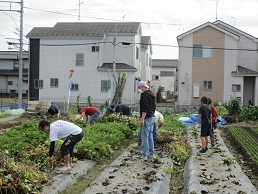 つるきり
