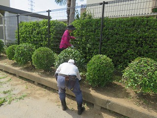 加藤さんの活動の様子