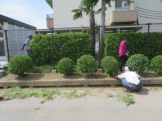 加藤さんの活動の様子